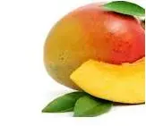 Točená zmrzlina Mango 1kg