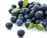 Točená zmrzlina Borůvka 1,5kg