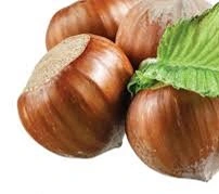 Točená italská zmrzlina Lískový ořech 1kg 