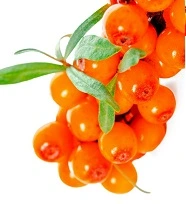 Točená zmrzlina Rakytnik 1kg