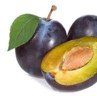 Točená zmrzlina Švestka 1kg