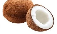 Točená italská Kokosová zmrzlina 1,10kg